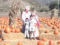 Pumpkin Festival