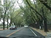 Napa Road