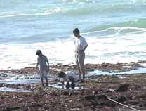 walking on the beach